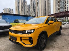 Geely Radar King Kong 505km Two-Wheel Drive Long Box Auspicious Edition - ფოტო 1