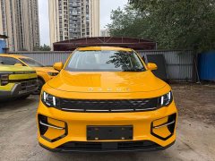 Geely Radar King Kong 505km Two-Wheel Drive Long Box Auspicious Edition - ფოტო 2