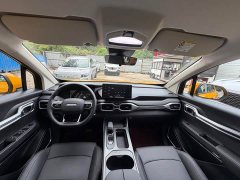 Geely Radar King Kong 505km Two-Wheel Drive Long Box Auspicious Edition - ფოტო 9