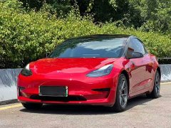 Tesla Model 3 Rear-Wheel Drive - ფოტო 1