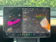 Tesla Model 3 Rear-Wheel Drive - ფოტო 12