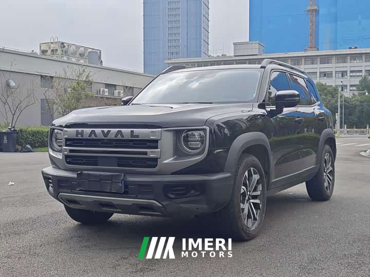 Great Wall Dachshund 1.5T DCT Labrador Edition - ავტომობილი ჩინეთიდან