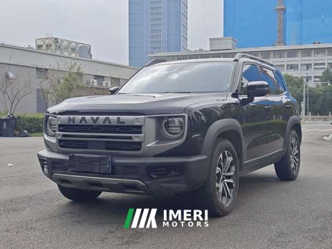 2024 Great Wall Dachshund 1.5T DCT Labrador Edition - ავტომობილი ჩინეთიდან
