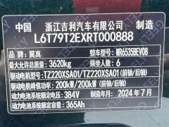 Wing Zhen L380 140-Degree 6-Seat AWD Ultra - ფოტო 18