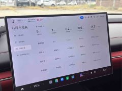 Xiaomi SU7 Rear-Wheel Drive Long Range Smart Driving Edition - ფოტო 7