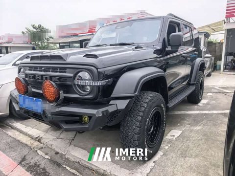 2021 Tank 300 Off-Road Edition 2.0T Conqueror - ავტომობილი ჩინეთიდან