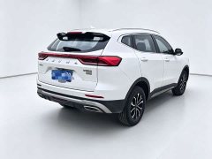 Haval H6 2021 1.5T Automatic Champion Edition - ფოტო 9