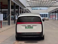 Li Auto Li Xiang MEGA 2024 Ultra - ფოტო 11