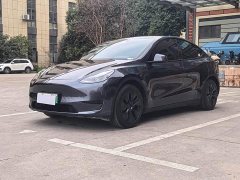 Tesla Model Y Rear-Wheel Drive - ფოტო 1