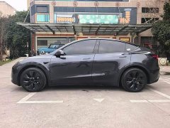 Tesla Model Y Rear-Wheel Drive - ფოტო 16