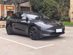 Tesla Model Y Rear-Wheel Drive - ფოტო 3