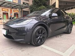 Tesla Model Y Rear-Wheel Drive - ფოტო 4