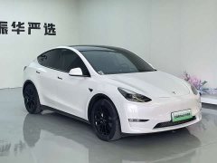 Tesla Model Y 2021 Standard Range RWD - ფოტო 3