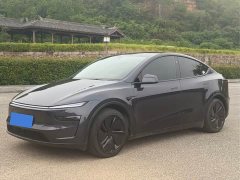 Tesla Model Y Rear-Wheel Drive Launch Edition - ფოტო 1