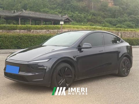 2025 Tesla Model Y Rear-Wheel Drive Launch Edition - ავტომობილი ჩინეთიდან