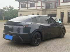 Tesla Model Y Rear-Wheel Drive Launch Edition - ფოტო 6