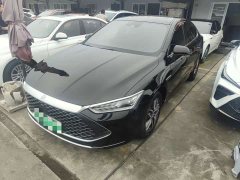BYD Qin Plus 2023 Champion Edition DM-i 120KM Exceed - ფოტო 3