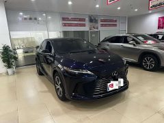 Lexus RX 300 AWD Premium Edition - ფოტო 3