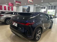 Lexus RX 300 AWD Premium Edition - ფოტო 4