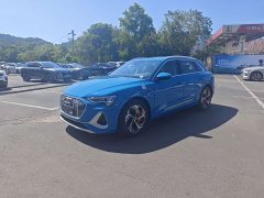 Audi e-tron 2021 50 quattro Premium - ფოტო 1