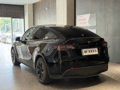 Tesla Model Y Rear-Wheel Drive - ფოტო 10