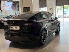 Tesla Model Y Rear-Wheel Drive - ფოტო 11