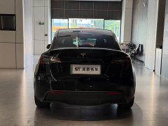 Tesla Model Y Rear-Wheel Drive - ფოტო 12