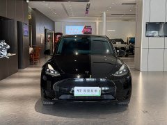 Tesla Model Y Rear-Wheel Drive - ფოტო 2