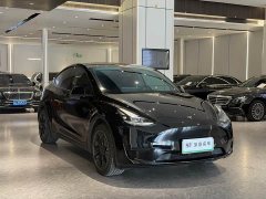 Tesla Model Y Rear-Wheel Drive - ფოტო 3