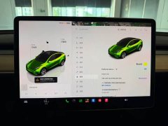 Tesla Model Y Rear-Wheel Drive - ფოტო 9