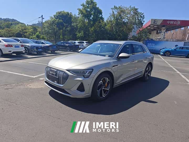 Audi e-tron 2021 50 quattro Premium