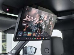 Great Wall WEY Blue Mountain 2026 Intelligent Advanced Edition Four-Wheel Drive Max - ფოტო 10