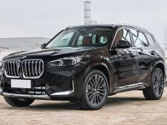 BMW X1 xDrive25Li X Design Package - ფოტო 1
