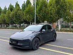 Tesla Model Y Long Range All-Wheel Drive - ფოტო 1
