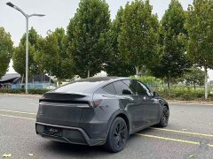 Tesla Model Y Long Range All-Wheel Drive - ფოტო 7