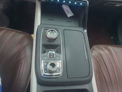 Ford Lingrui EcoBoost 170 Premium - ფოტო 16