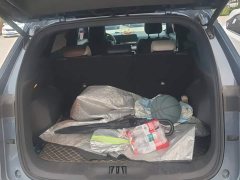 Ford Lingrui EcoBoost 170 Premium - ფოტო 4