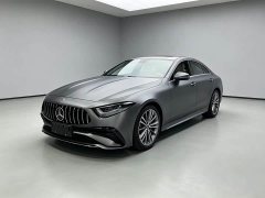 Mercedes-Benz CLS 300 Dynamic - ფოტო 1