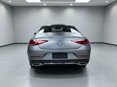 Mercedes-Benz CLS 300 Dynamic - ფოტო 11