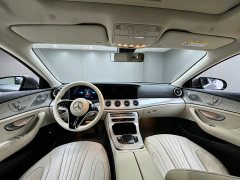 Mercedes-Benz CLS 300 Dynamic - ფოტო 8