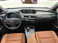 Lexus UX New Energy 2020 300e Pure Joy Edition - ფოტო 11