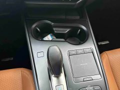 Lexus UX New Energy 2020 300e Pure Joy Edition - ფოტო 17