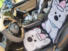 Geely Boyue L 2023 1.5TD DCT Luxury - ფოტო 11