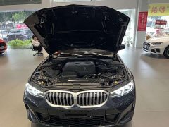 BMW 3 Series 320Li M Sport Package - ფოტო 19
