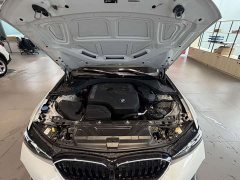 BMW 3 Series 320Li M Sport Package - ფოტო 16