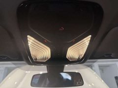BMW 3 Series 320Li M Sport Package - ფოტო 17