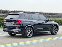 BMW X5 xDrive 30Li M Sport Luxury Night Edition Package - ფოტო 7