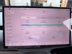Xpeng Xiaopeng MONA M03 2024 620 Extended Range - ფოტო 15