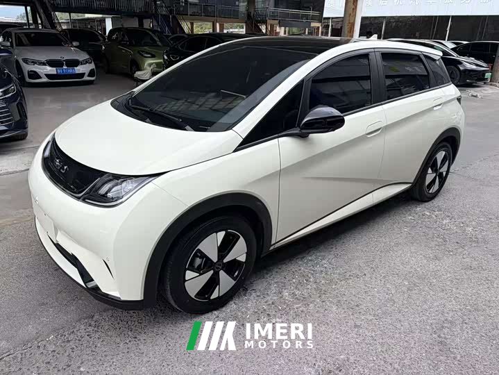BYD Dolphin 2024 Glory Edition 420km Fashion Version - ავტომობილი ჩინეთიდან