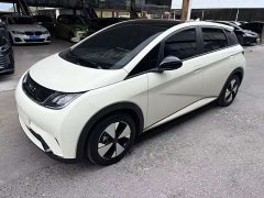 BYD Dolphin 2024 Glory Edition 420km Fashion Version - ფოტო 1